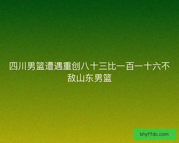四川男篮遭遇重创八十三比一百一十六不敌山东男篮